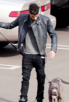 harrystylesdaily:  Zayn walking his dog around the YouTube parking lot. 11/23 