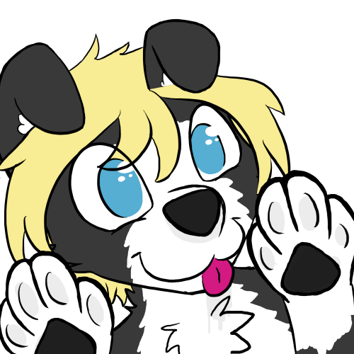 haphaz-art:  excited collielook at that cute little faceget off the damn glass  omg cute! <3