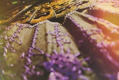 a close up of a purple and gold hand fan, gold accents purple lace.