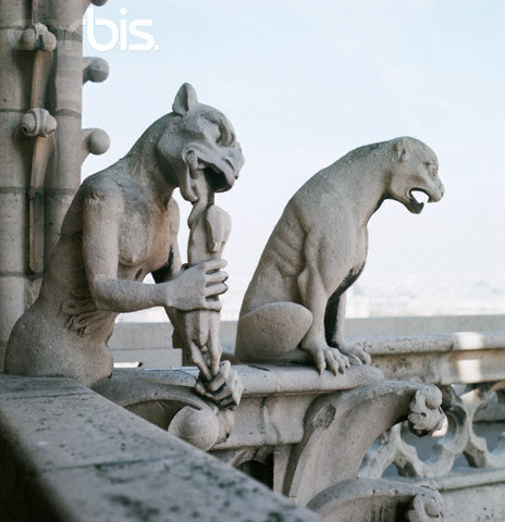 fullmoonpagan:Gargoyles.