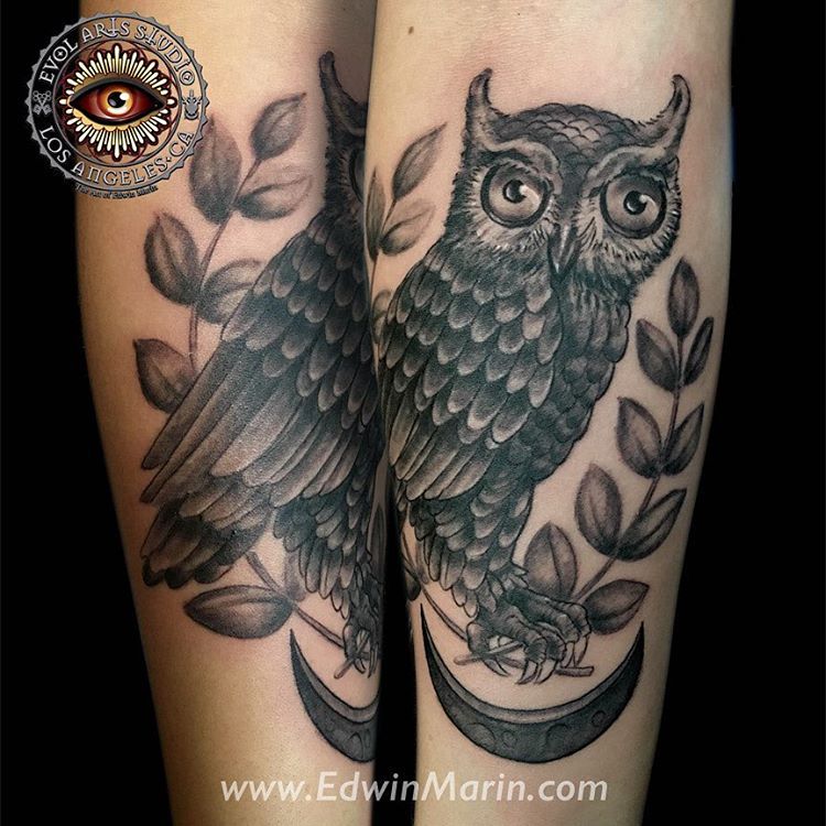 140 Owl On Branch Tattoo Illustrations RoyaltyFree Vector Graphics   Clip Art  iStock