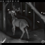 cloverdeer