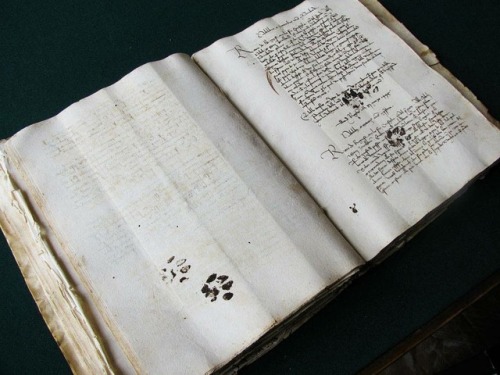 museum-of-artifacts:Inky paw prints left by a cat on a 15th century manuscript#book #books #museum #
