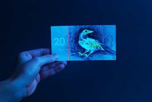 culturenlifestyle:Student creates beautiful banknotes for a fictional currency Student artist Barbara Bernat creatively re-imagines Hungarian paper money with designs that look like pages from a naturalist’s sketchbook.  The artist created these beautiful