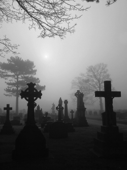 I would love to do a few shoots in a nice graveyard like that