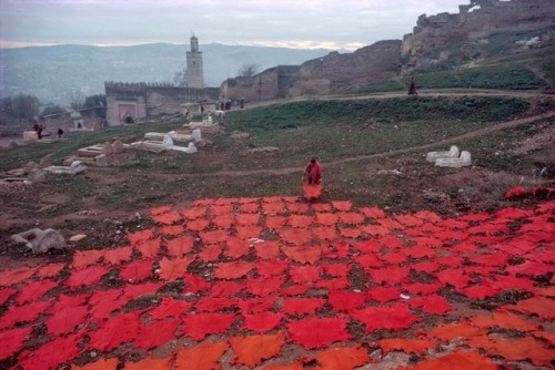 poetryconcrete:Tanned and tinted skins being dried near the cemetery, photo by Bruno Barbey, 1984, i