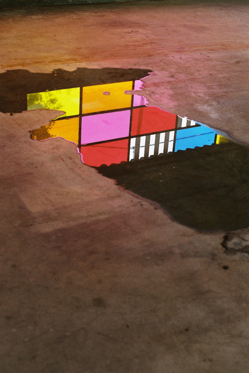 marionberrin:  Le berceau des illusions — Juillet 2014 