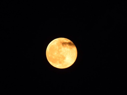 fl0wer-wh0re:  The moon was great tonight 