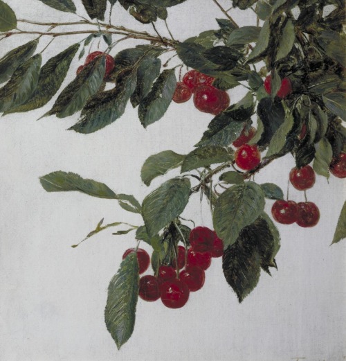 aleyma:Henri Fantin-Latour, Cherries, 1883 (source).