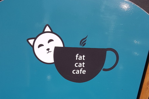 sanwichsays:Fat Cat Cafe in Ireland