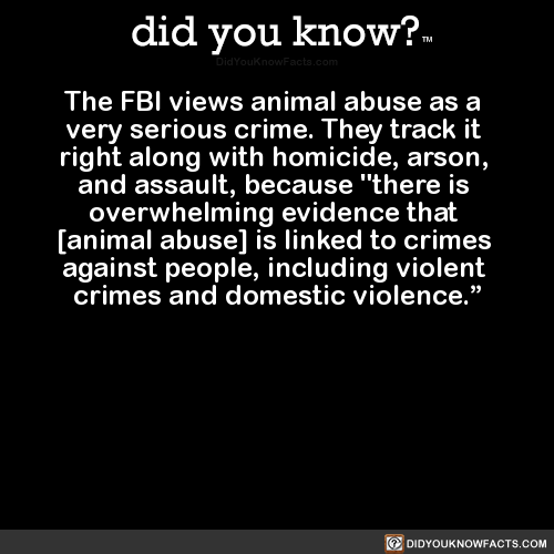 Sex did-you-kno:The FBI views animal abuse as pictures
