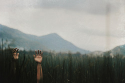 fallen-mind:  ahh to only be free… on We