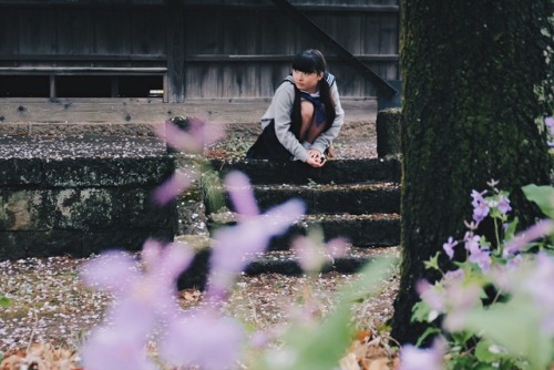 model：白崎琉那 (@luna_nyancom)camera / lens：fujifilm x-t1 / xf35mm f2 r wr + xc16-50mm 3.5-5.6 ois