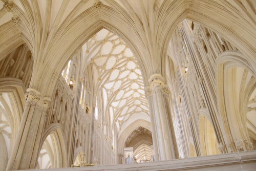 ladymargaerytyrell: Wells Cathedral, Somerset on 500px