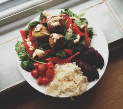 iamnotover:  Lunch was flawless: Homemade falafels on a bed of baby spinach, with roasted red pepper, beetroot, cherry tomatoes, sauerkraut and a lemon Harissa tahini dressing 