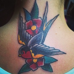 fuckyeahtattoos:  swallow on the back of neck. zach grimm. holy ground tattoo. buffalo, ny. zachxgrimmtattoos.tumblr.com instagram @zachxgrimm 