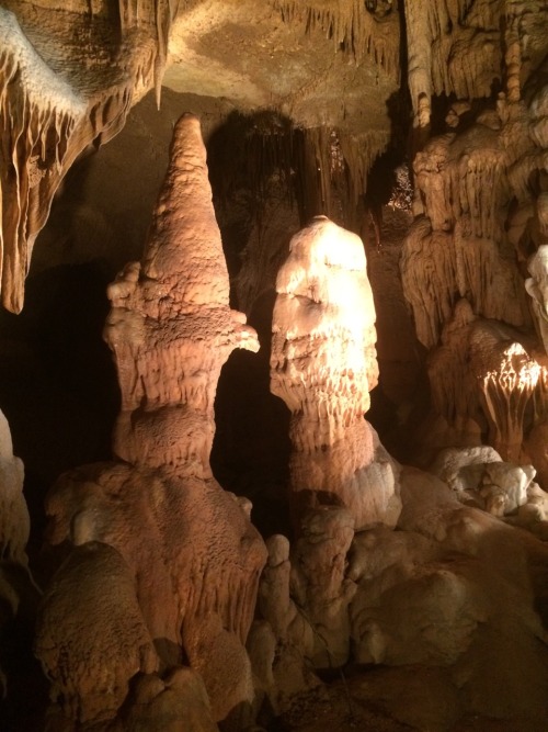 anomalokaris: Geomorphology field trip (pt 1) Cave Without a Name, Boerne, Tx