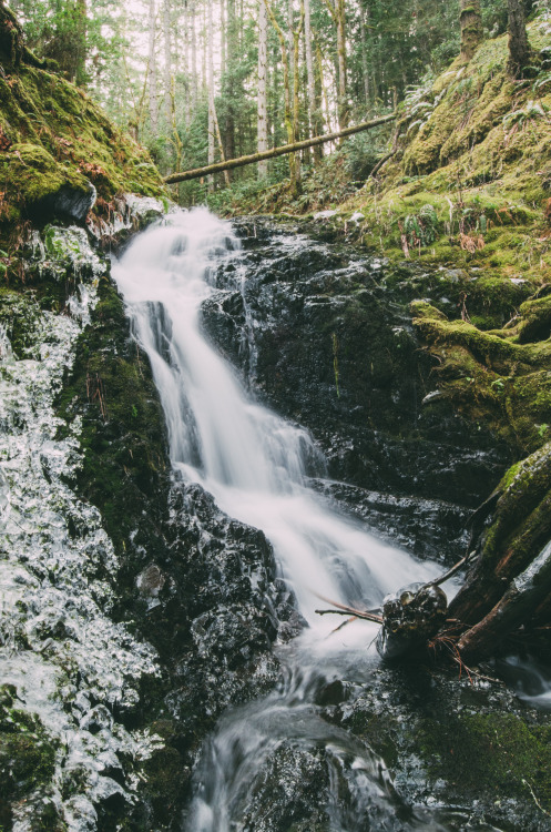 Icy day at Tin Mine Falls, Seabeck