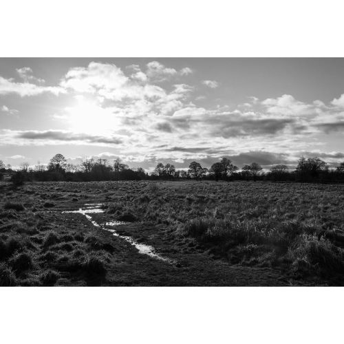 first walk on the common today #nature #photography #naturephotography  #lincoln #southcommon #linco