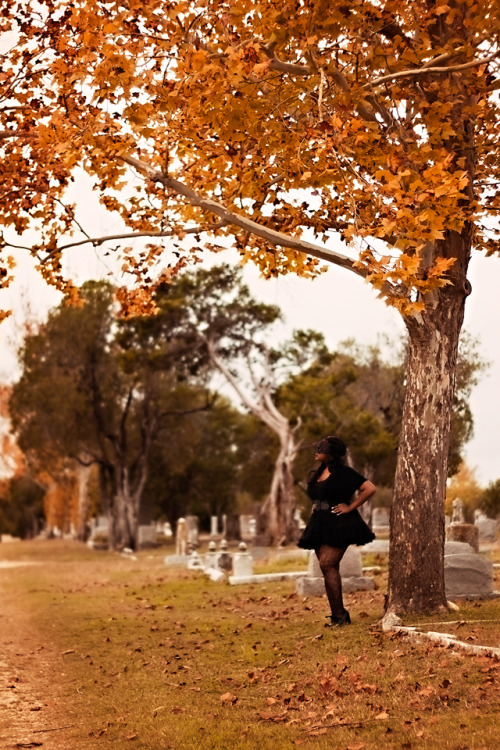 Porn kellylugosisdead:  Toya Tenice in the Cemetery photos