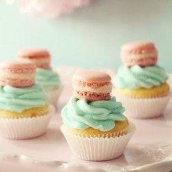 rrpertiwi:  #macarons #cupcake #pastel #color