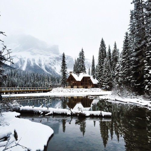 delta-breezes:  Scott C Bakken