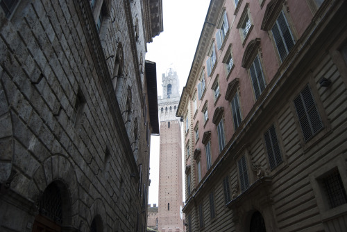 Siena. El Campo. City Tour. Siena Cathedral.