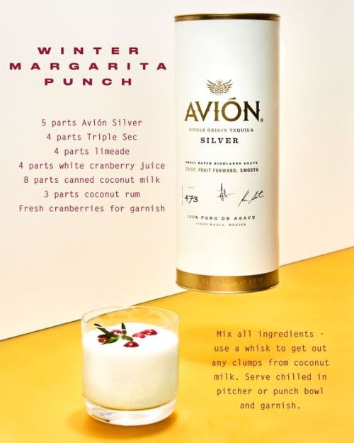 Avion Tequila and some new recipe ideas photographed by David Williams!