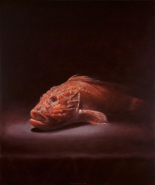 Scorpœna&hellip; #scorpio #aquarius #scorfano #rockfish #pesce #naturamorta #stilllife #oi