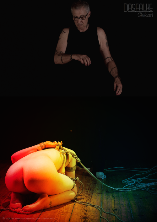 dasfalke-shibari:  “Treasure at the end of the Rainbow”  Featured Rope Partner: Fiona Vv