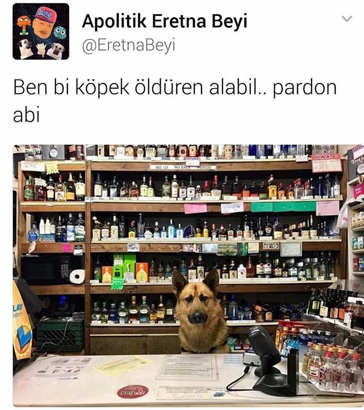 Ben bi köpek öldüren...