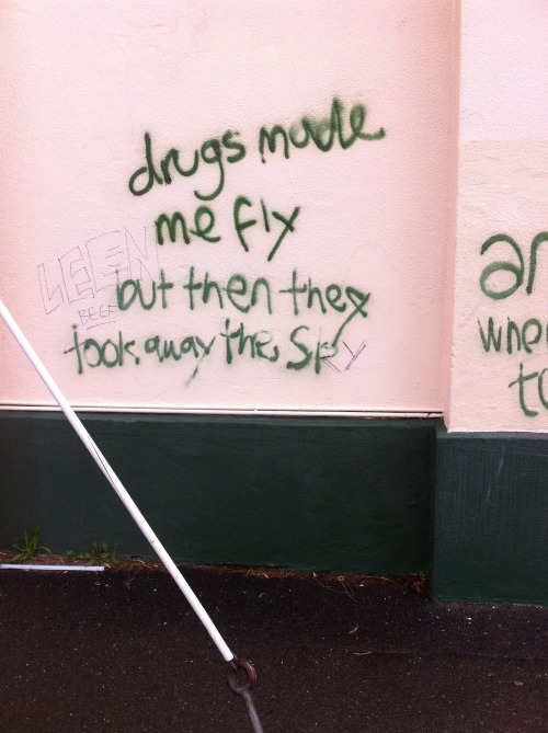 DRUGS MADE ME FLY  BUT THEN THEY TOOK AWAY THE SKY