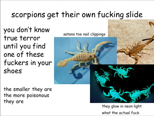 lolsofunny:  all you really need to know about arizona