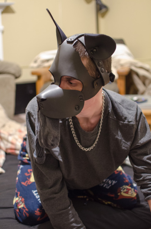 ace-puppy:  @daveywoofr, @fawn–prince, @goodboychance, @nnydlboi, @p0cket-pup, @pup-grizz, @pupsirius, @ruttpup, @tuggerpup, @twitchthepup Hooded Pups of Tumblr #21 