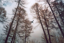 fiskarna:  untitled by eleganterie on Flickr.