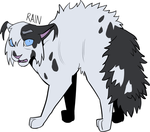 Warrior Design - Brambleberry by DragonightDraws on DeviantArt