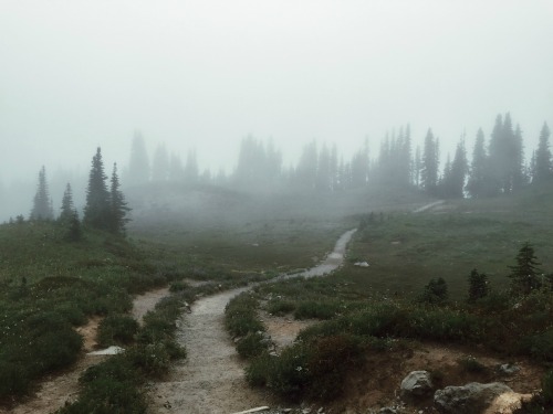 expressions-of-nature:Mt. Rainier, WA by Joe Dodd