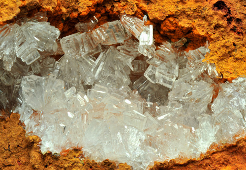 ifuckingloveminerals:  Hemimorphite