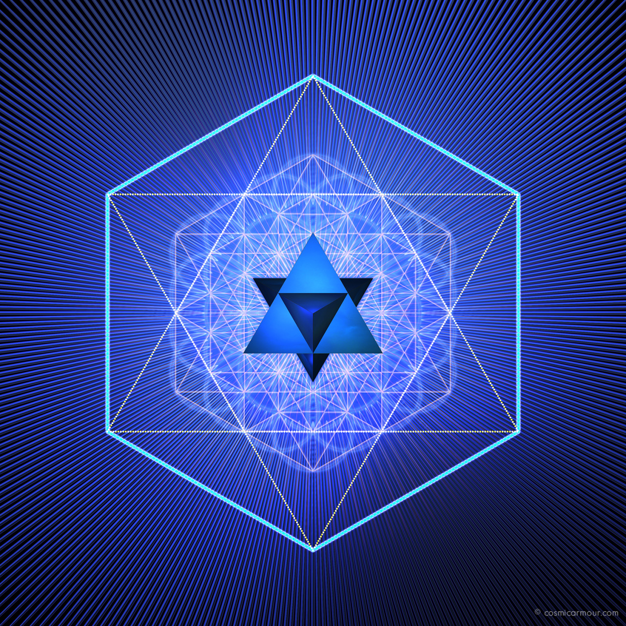 Star Tetrahedron with VE and Flower of Life - cosmicarmour.com