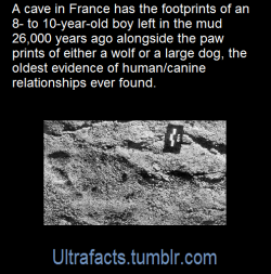 jeza-red:  copperbadge:  ultrafacts:  Source [x] Click HERE for more facts  I just wrote an entire happy little mental story about this kid and their giant loyal dog and their adventures spelunking.  (How do they know it’s a boy? Are feet that gendered?