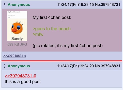 theawesomeadventurer: theawesomeadventurer:   My first 4chan post:   >goes to the beach >mfw    they liked it 