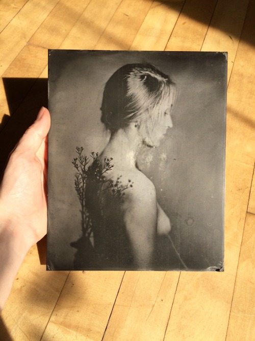 brookelabrie:  9.25" x 7.5" Portrait with Sprig Tintype © brookelabrie { get 25% off with discount code 25OFF at checkout } 