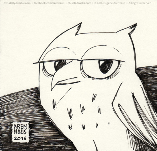 №460: Disillusioned owl.