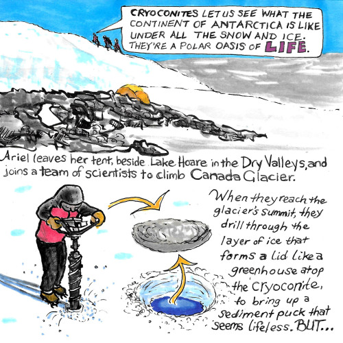 New Year, new Antarctic Log comic from Karen Romano Young! Start your 2022 off right by checking out