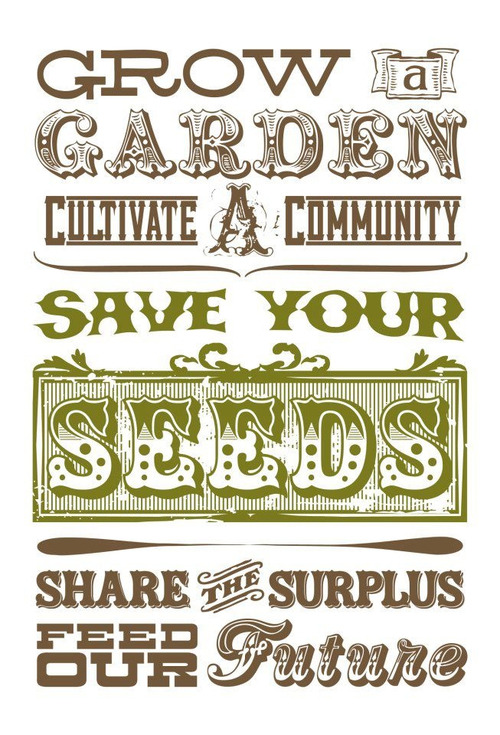 amvrosiaco:  The future belongs to those who believe in the beauty of their dreams. Protect organic natural seeds. A future free from GMO and companies that control nature. Be Healthy, be Free, be Happy www.amvrosia.co/try-now 