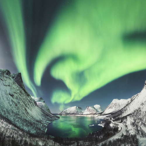 valentinrdz:  Moonlight Dancing by fpenta
