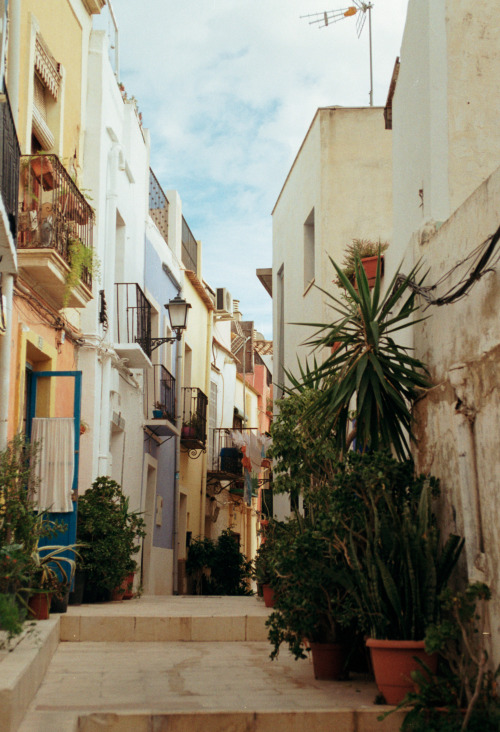 barrio santa cruz | alicante, noviembre 2019kodak gold 200nikon f90nikkor 28-85 f/3.5-4.5 af https:/