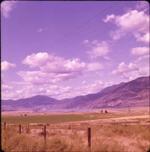 endlessme:  Near Kamloops Lake, British Columbia, 1962 Doris Thomas Via twoseparatecoursesmeet 