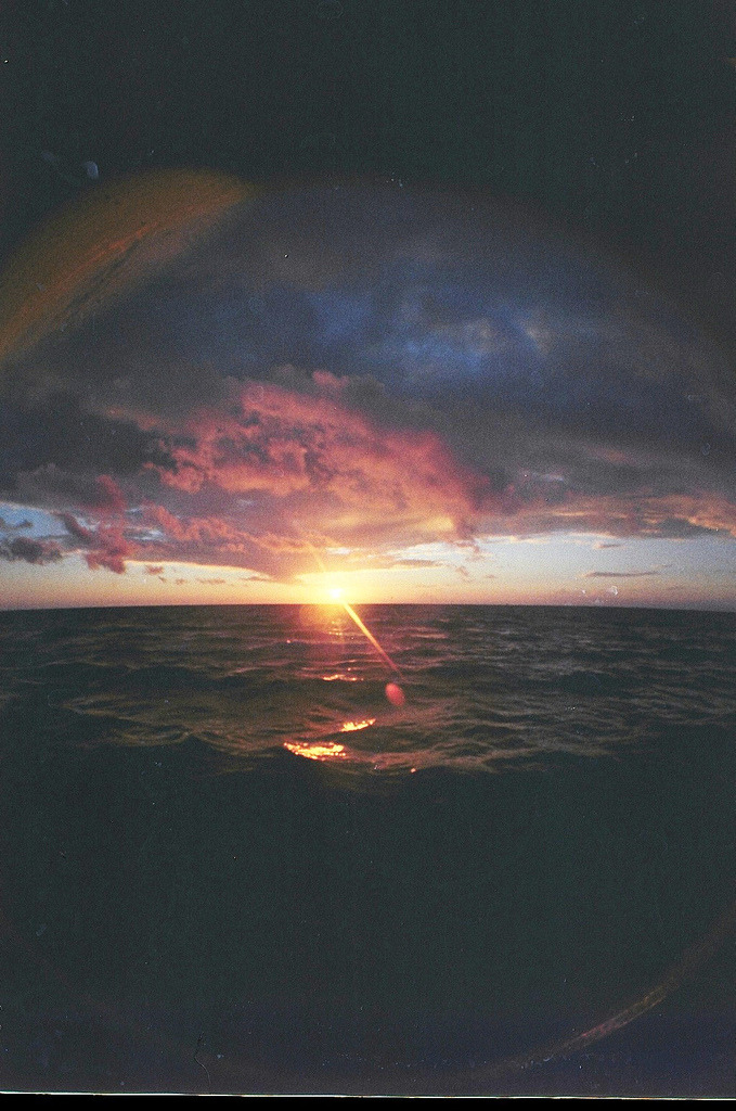 brutalgeneration:  (by Ksenia Dombo) 