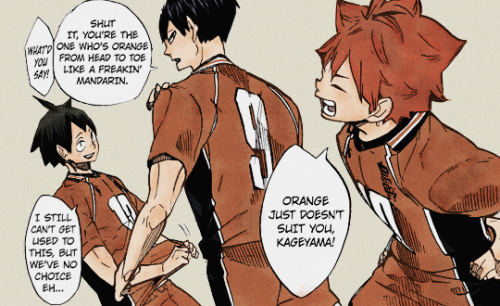 hontouni: Karasuno and their new color-swapped uniforms